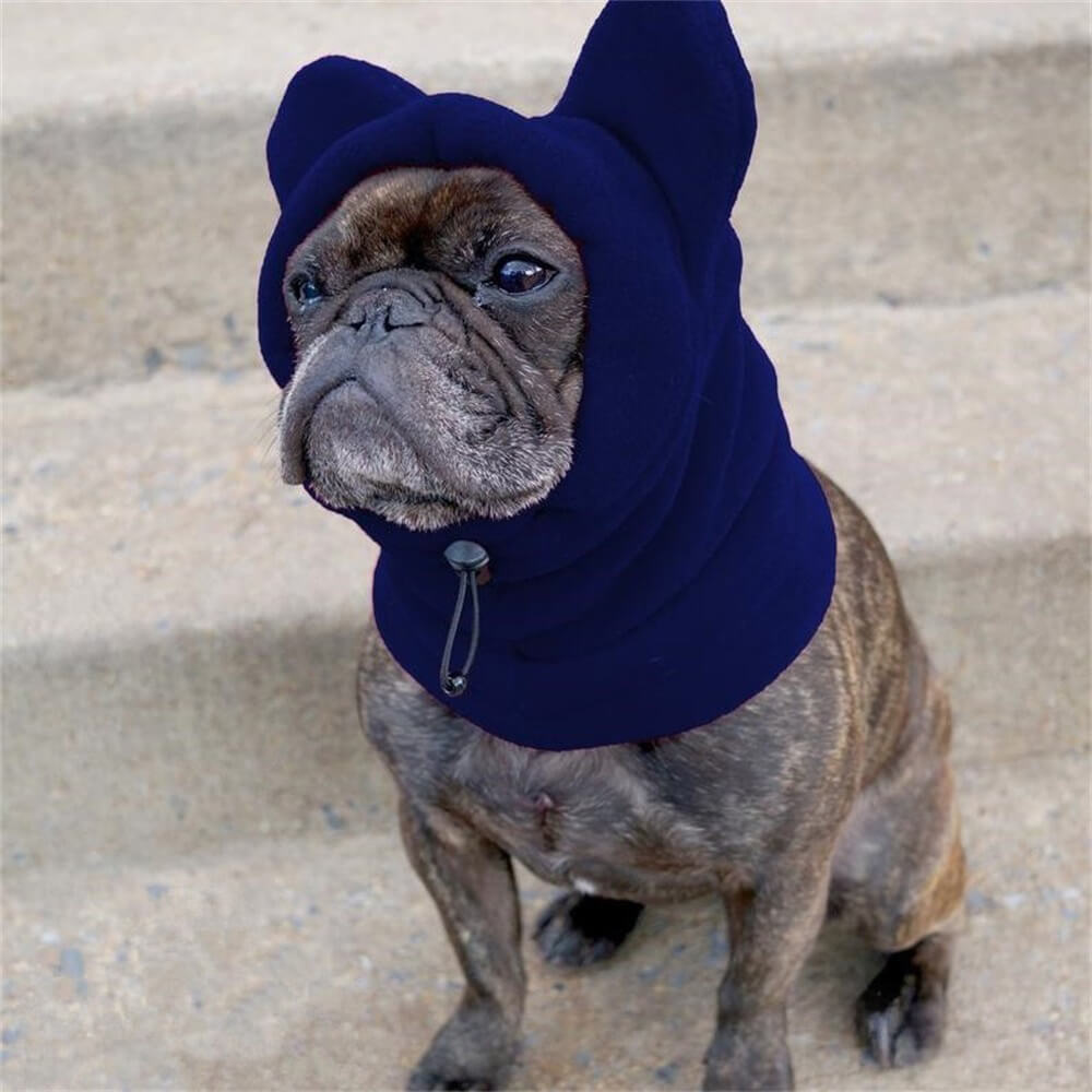 Medium dog in a soft, brown bear ear fleece hood, providing warmth and style as a winter pet accessory.