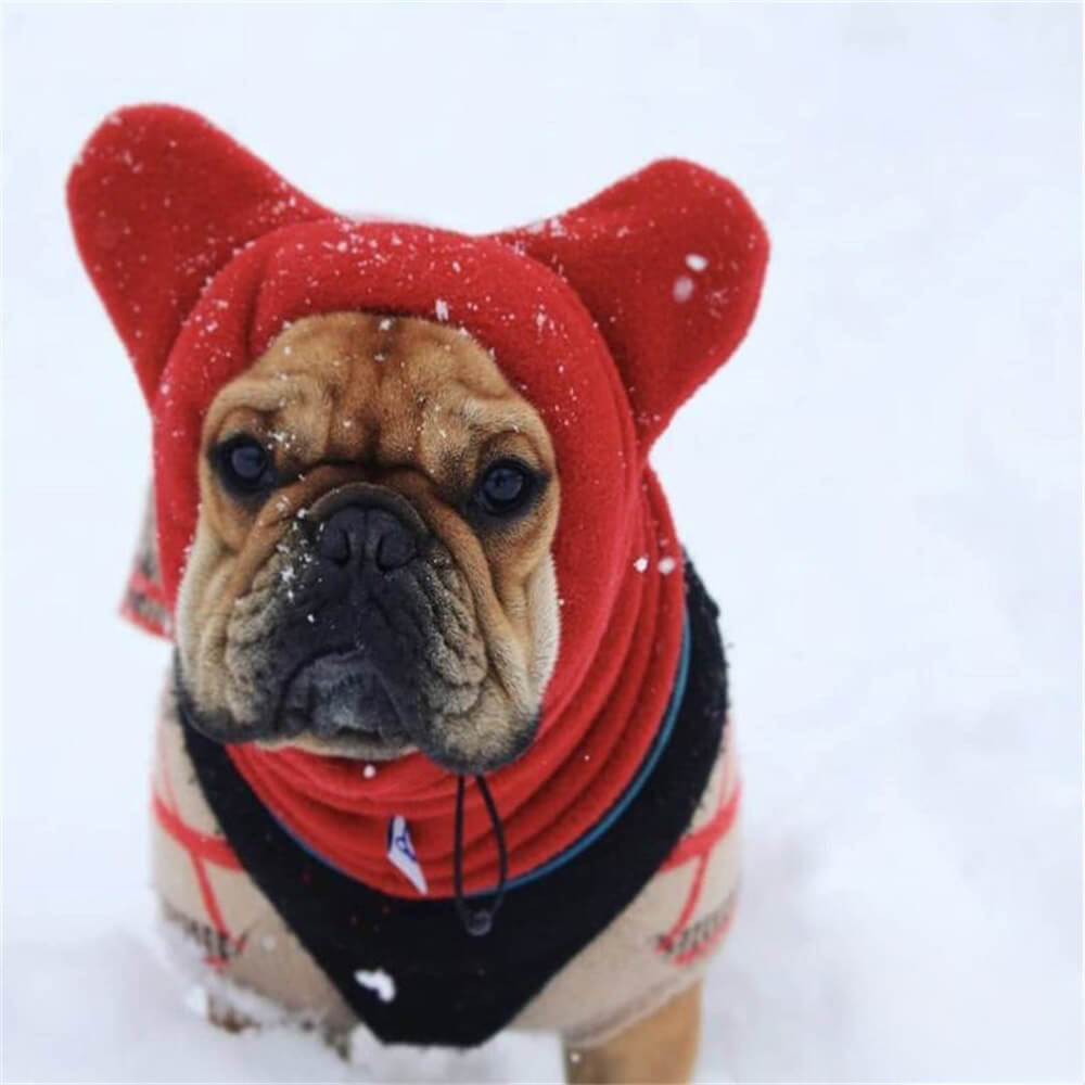Cozy dog fleece hood with bear ears in brown, designed for comfort and warmth during cold weather for pets.