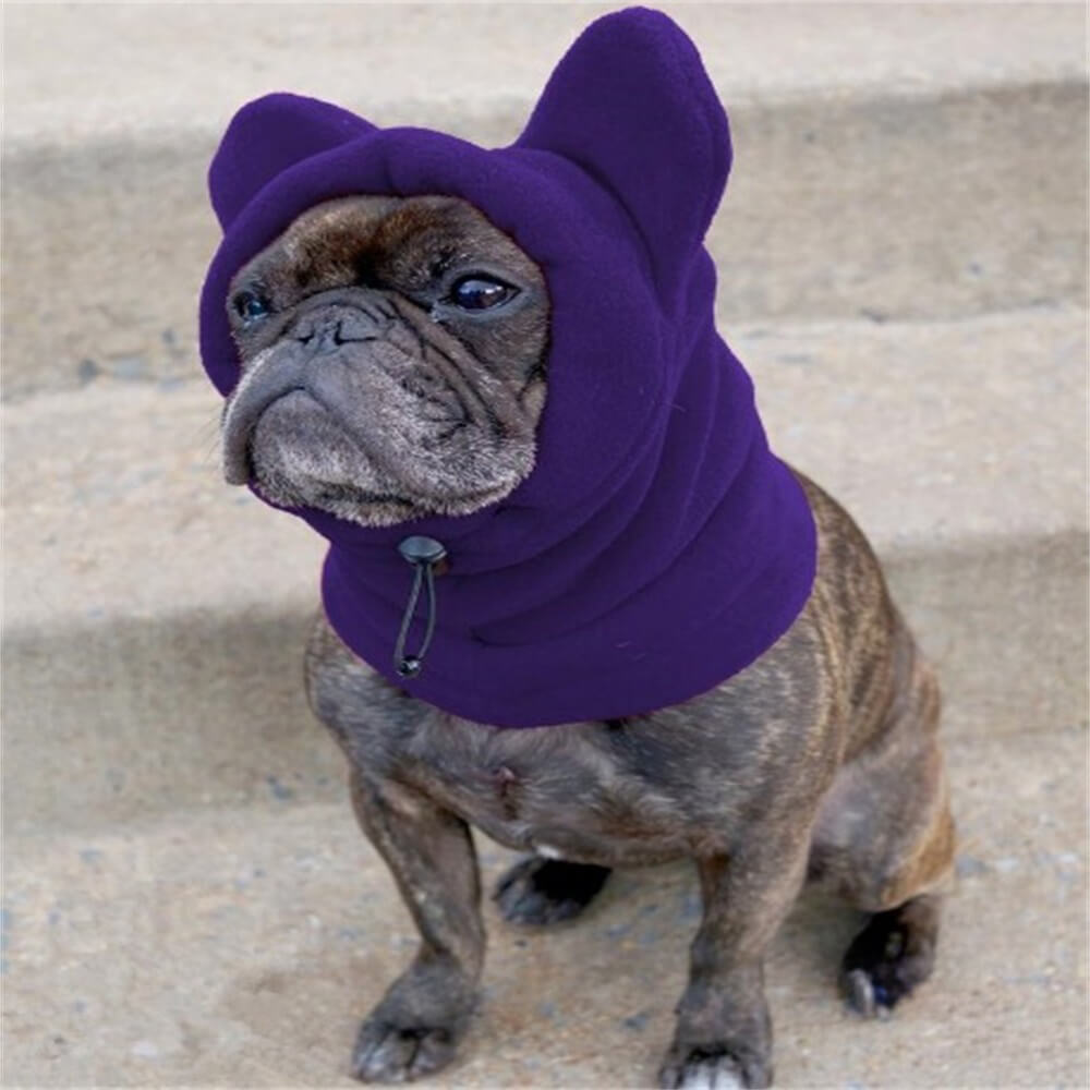 Close-up of a dog wearing an adorable brown fleece bear ear hood, a stylish winter headwear accessory.
