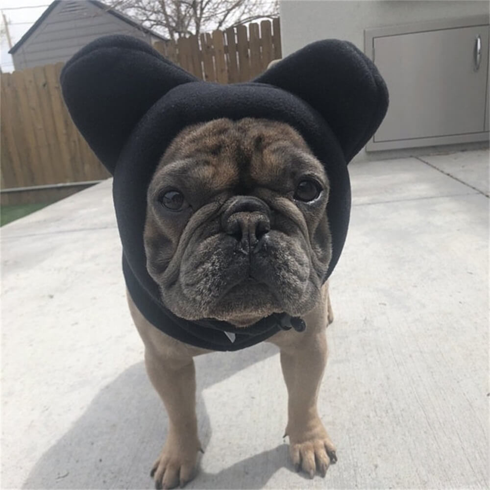Winter dog accessory: Brown fleece hood with cute bear ears, ensuring a cozy and fashionable pet.