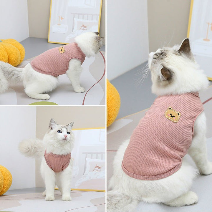 Autumn-themed photo of a dog in a cozy waffle dog vest, blending with fall colors.