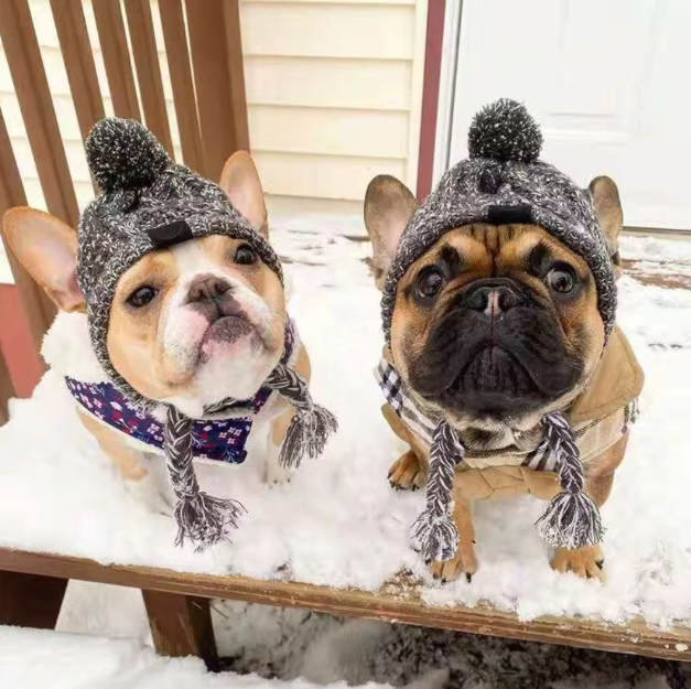 Close-up of a pink dog winter knit hat with a pom-pom, comfortable pet fashion for small dogs.