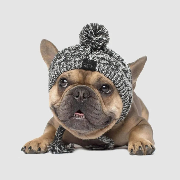 Green knit dog winter hat with a playful pom-pom, ensuring dog comfort & warmth.