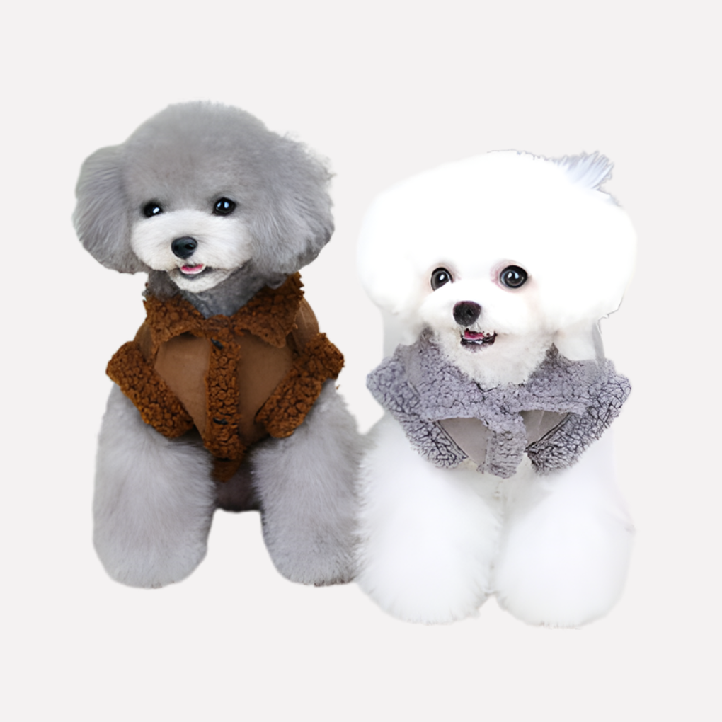 Small dog wearing a soft brown shearling winter jacket, perfect for cold weather warmth