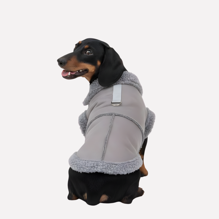 Close-up of a dog's soft shearling winter jacket, highlighting its warm faux fur lining