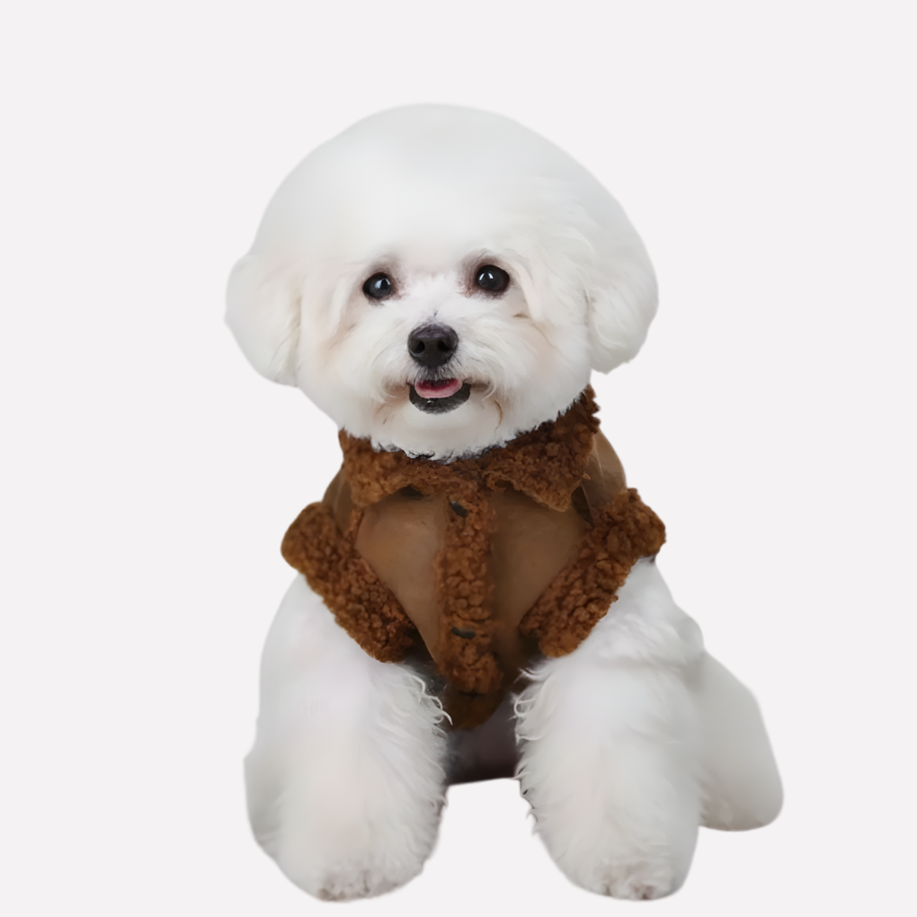 Dog wearing a comfortable and warm shearling winter coat, suitable for small to medium pets