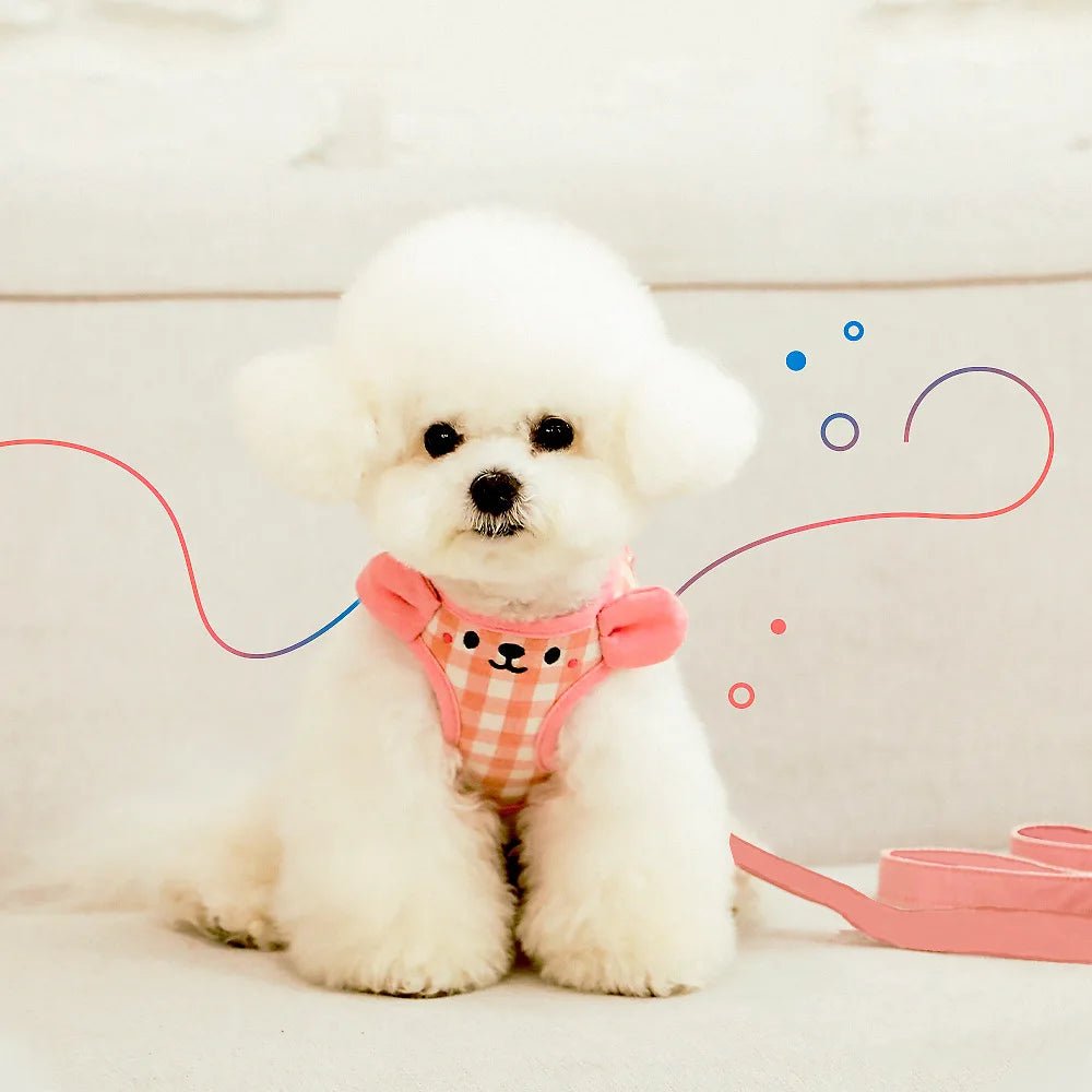 Small dog wearing blue adjustable tank top harness, side view, comfortable pet walking accessory.