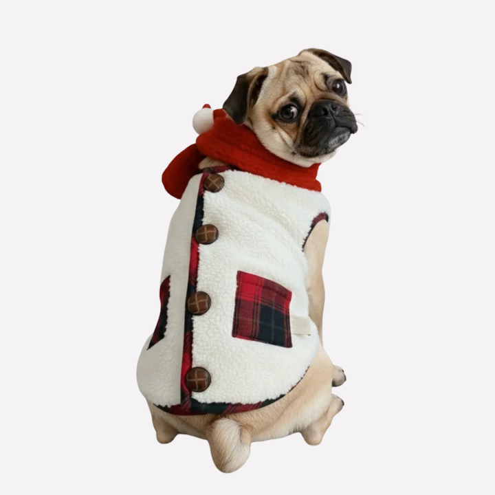 Fashionable pet clothing: red plaid dog jacket and scarf set, perfect for cold weather holiday style