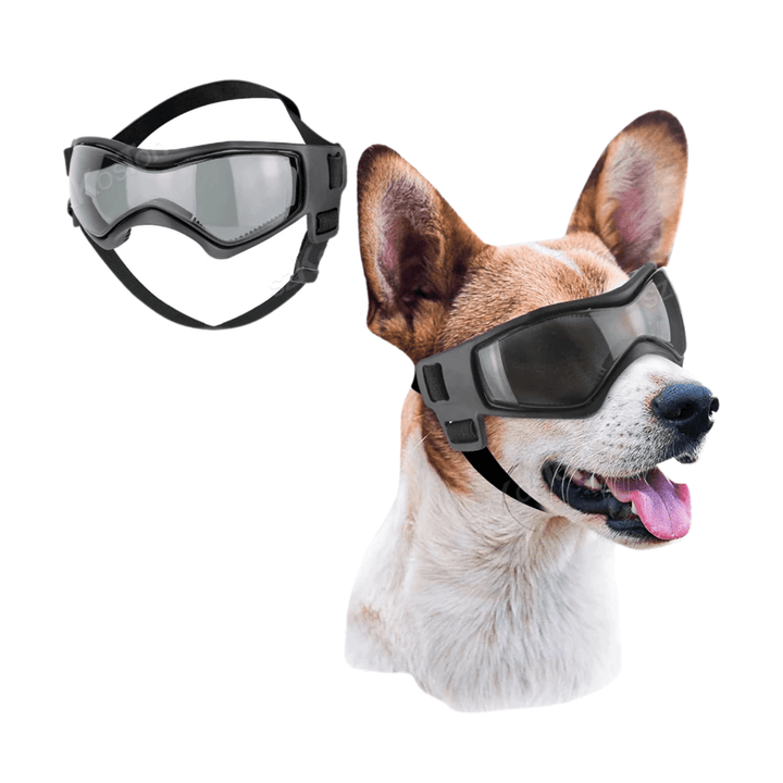 Adjustable pet sunglasses for small dogs, offering UV protection and eye safety