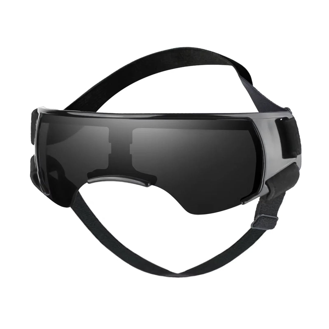 Small dog wearing UV protective goggles with adjustable strap, black frame, for outdoor eye protection.