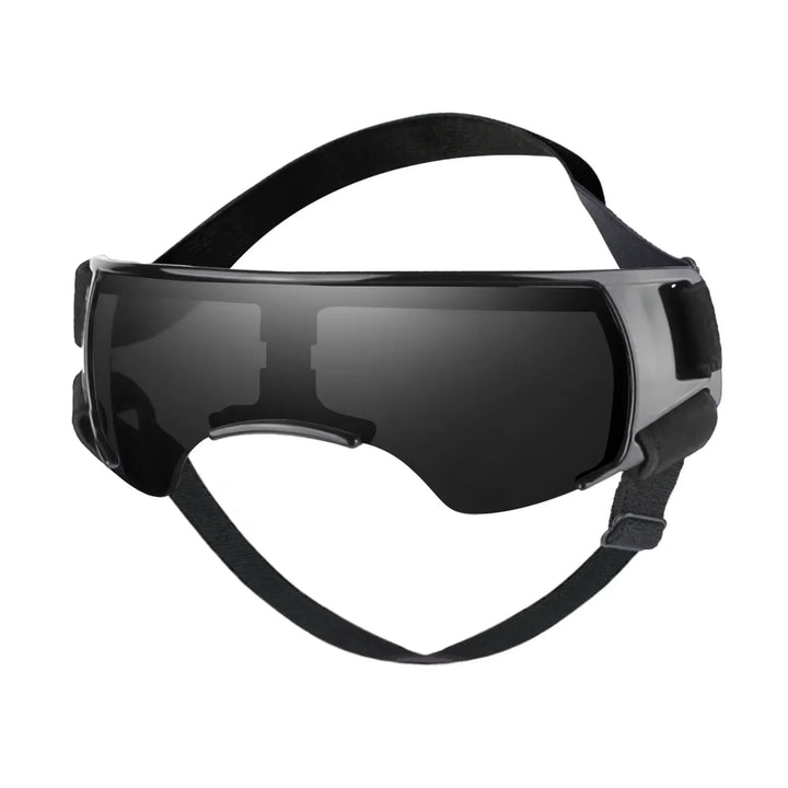 Small dog wearing UV protective goggles with adjustable strap, black frame, for outdoor eye protection.