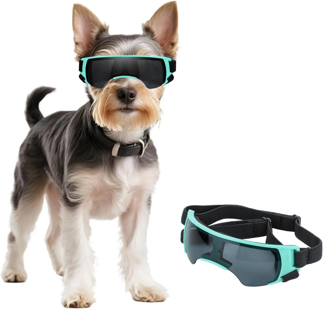 Close-up of small dog goggles offering UV protection, designed for pet eye safety and outdoor adventures.