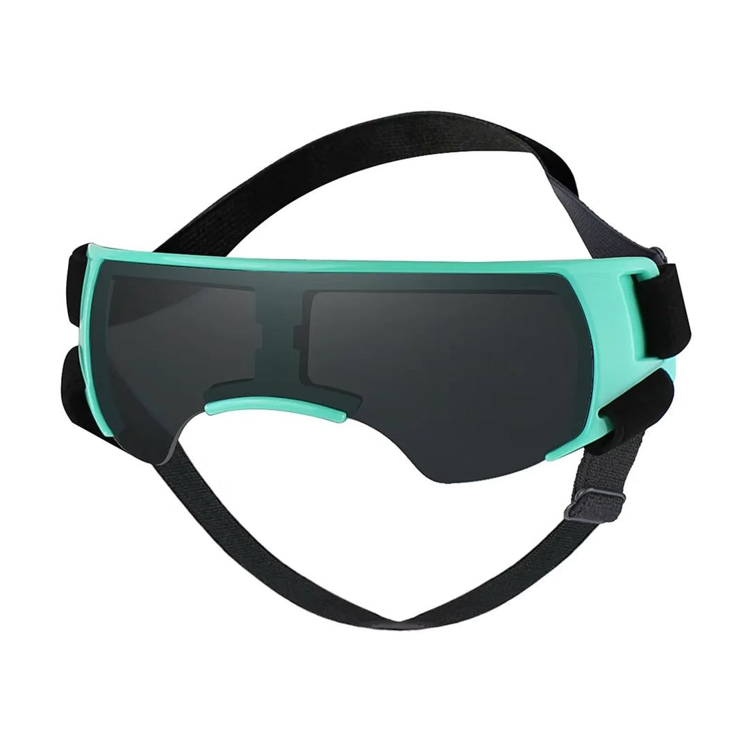 A pair of small dog UV protective pet sunglasses, black, with adjustable elastic strap for eye protection.