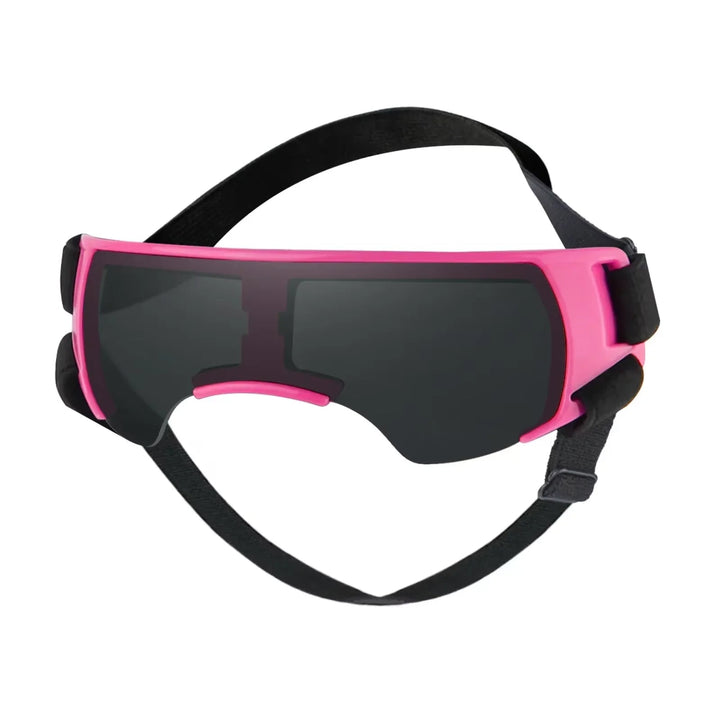 Small dog accessory: UV protective goggles, clear lenses, ideal for eye protection during outdoor activities.