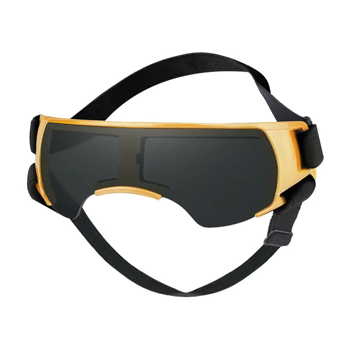 Black pet sunglasses, small size, providing UV protection for dogs, an essential piece of outdoor dog gear.