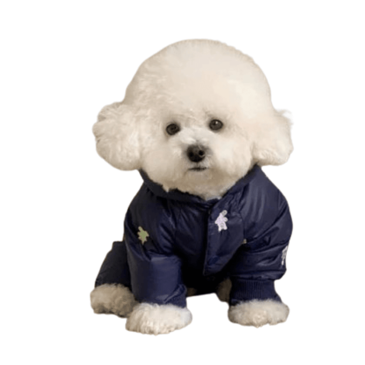 Medium dog wearing a warm winter jumpsuit jacket with fun bear pattern, ideal for cold weather.