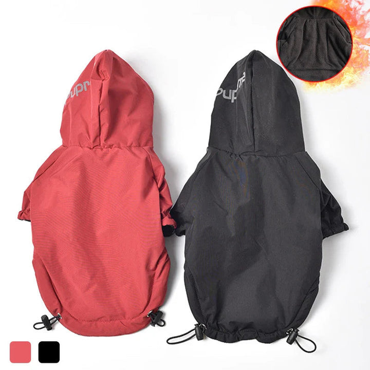 Warm winter dog coat, hooded and waterproof, perfect for small breeds