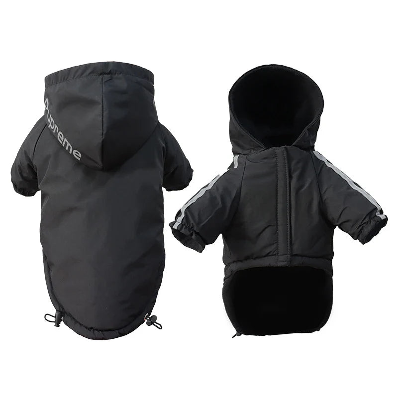 Small cat winter waterproof jacket, reflective and warm for outdoor adventures