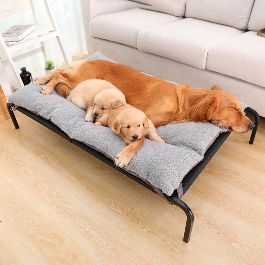 Small pet bed with removable, washable cover for cats and dogs, easy clean comfort