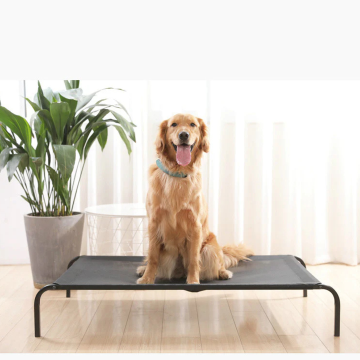 Comfortable small dog bed with a soft, washable cover, ideal for easy cleaning