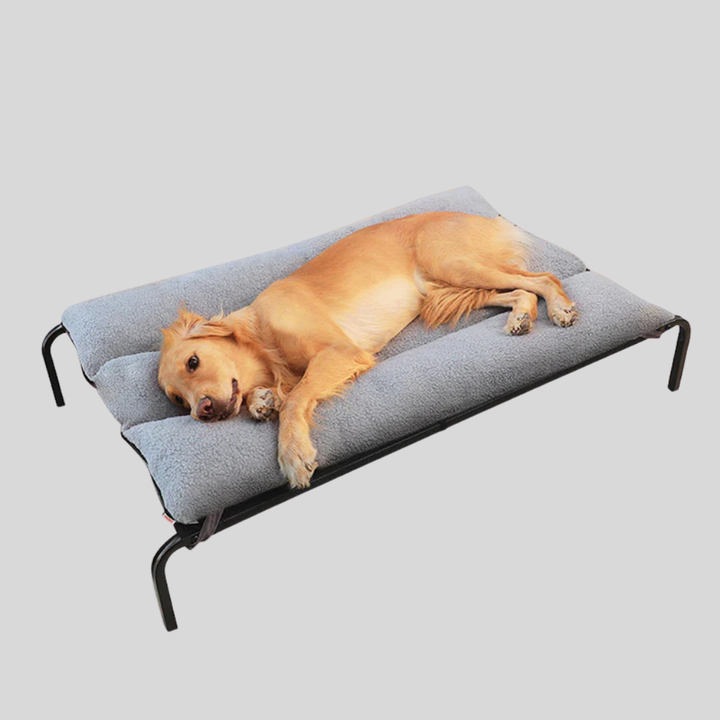 New4 versatile pet bed for cats and dogs, featuring a removable and washable cover