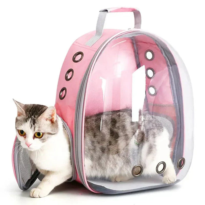 Small pet carrier backpack for cats and dogs, well-ventilated for comfortable pet travel in cars.
