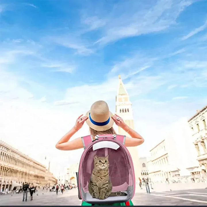 Front view of a transparent pet carrier backpack, ideal for small animals and car travel.