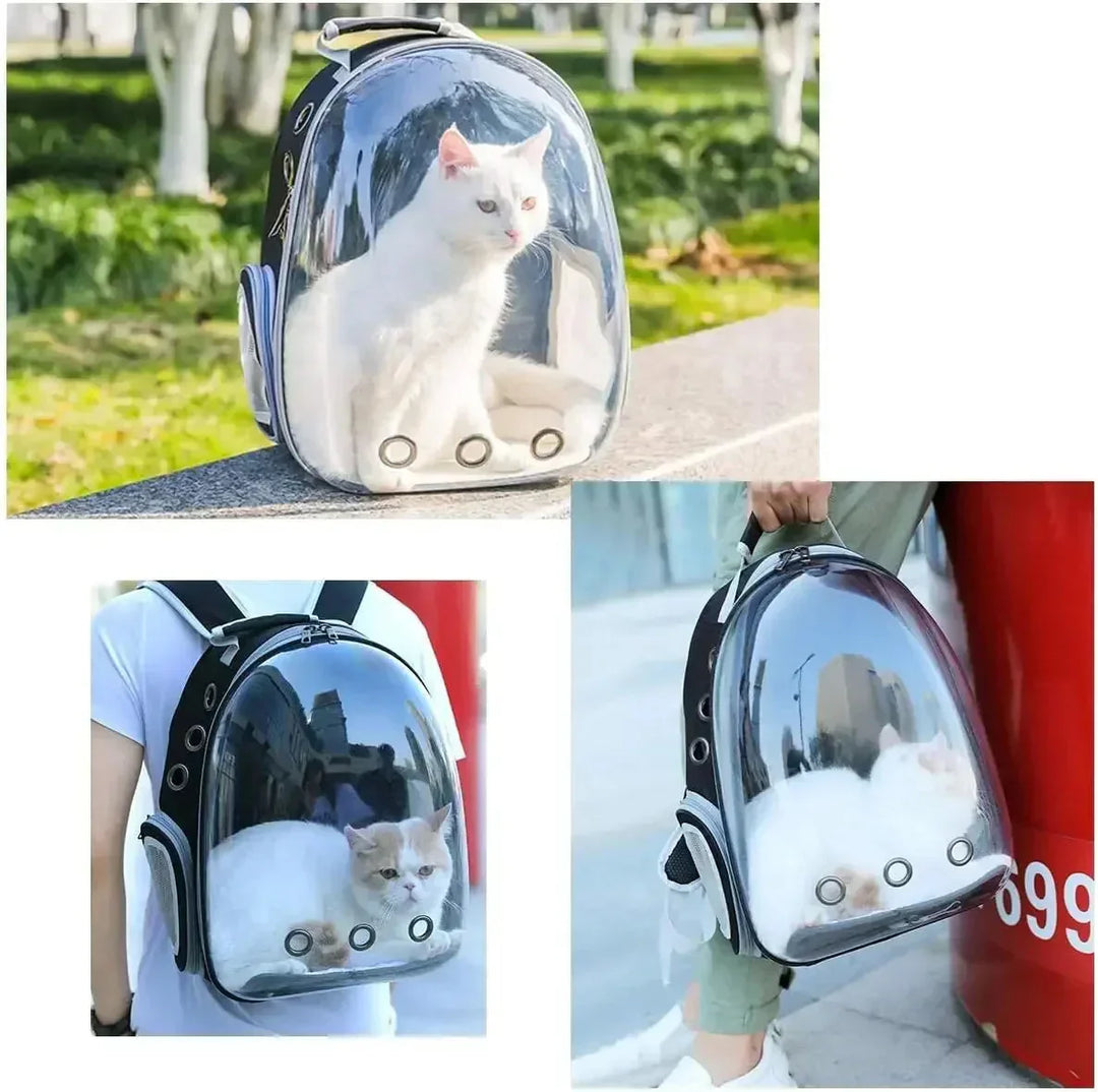 Ergonomic pet carrier backpack for small animals, featuring breathable mesh for dog or cat transport.
