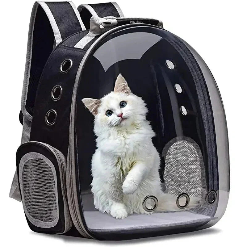 Pet carrier backpack with clear window, designed for safe and comfortable animal transport in cars.