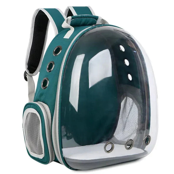 Pet carrier backpack with soft interior for small cat or dog comfort during auto transport.