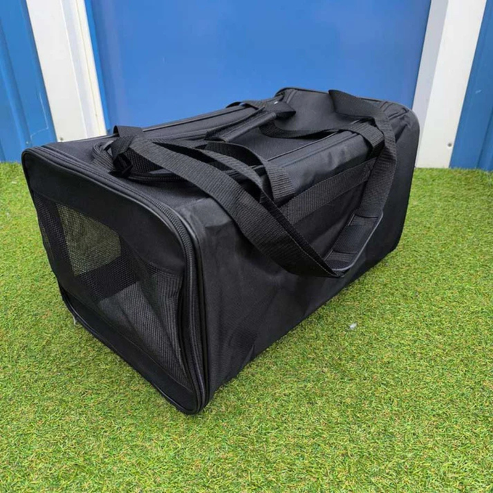 Small pet travel carrier, airline approved for cabin, with mesh ventilation for cat or dog comfort.