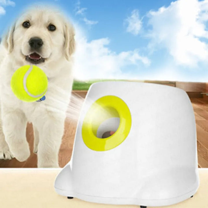 Smart automatic dog ball launcher with infrared sensor for interactive pet play and dog exercise