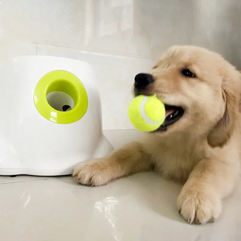 Automatic dog fetch machine with smart infrared sensor, ideal for outdoor dog toy and playtime fun