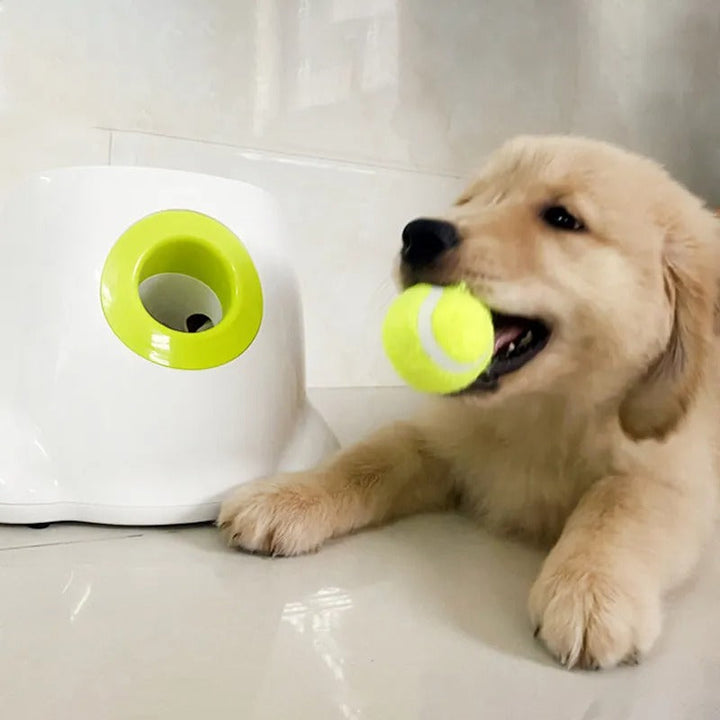 Automatic dog fetch machine with smart infrared sensor, ideal for outdoor dog toy and playtime fun