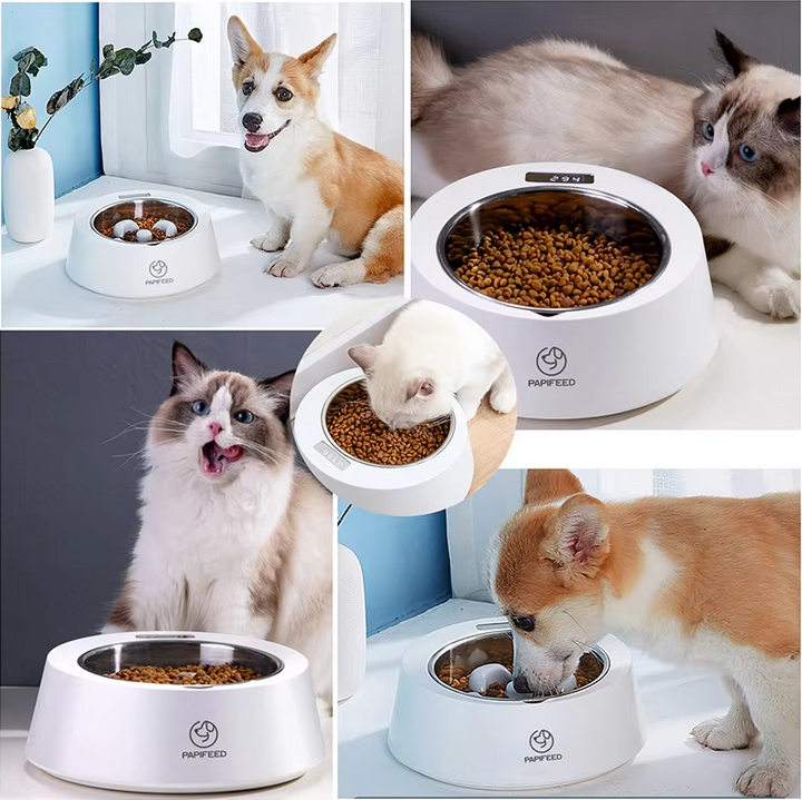 Smart automatic pet food dispenser for dogs & cats with digital display.