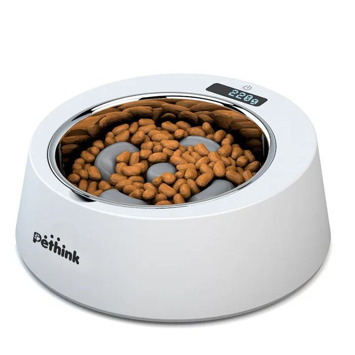Automatic pet feeder for dogs and cats, programmable timer for meal portions.