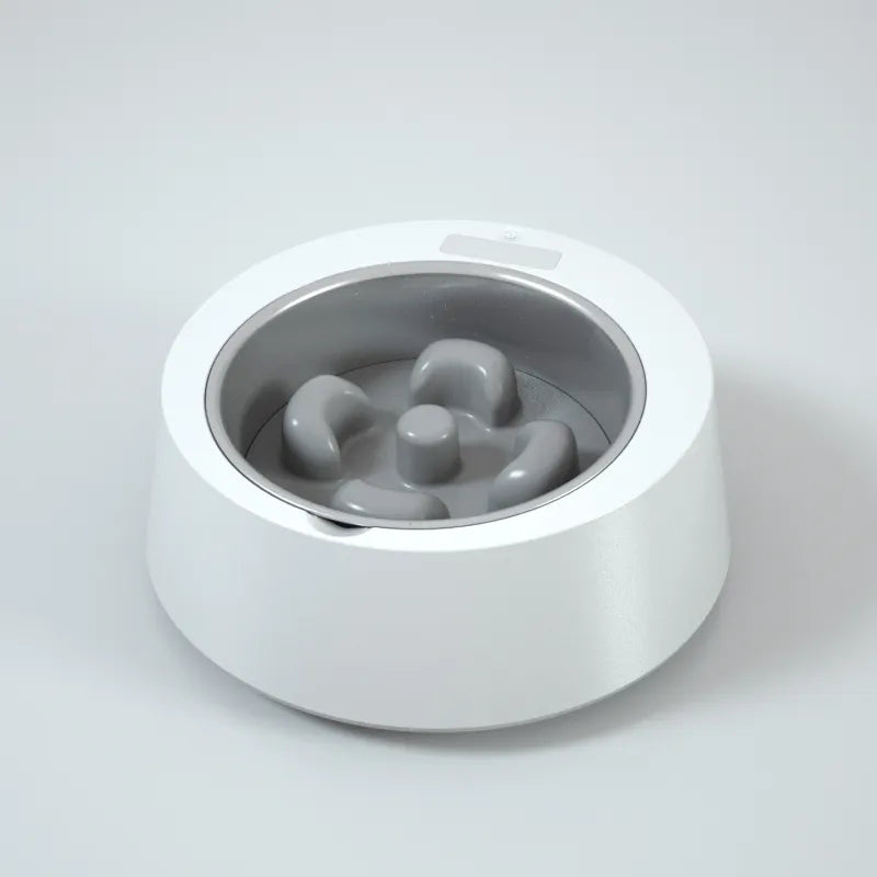 Pet feeder with food bowl, automatic and smart for dog and cat feeding.