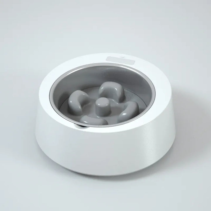 Pet feeder with food bowl, automatic and smart for dog and cat feeding.