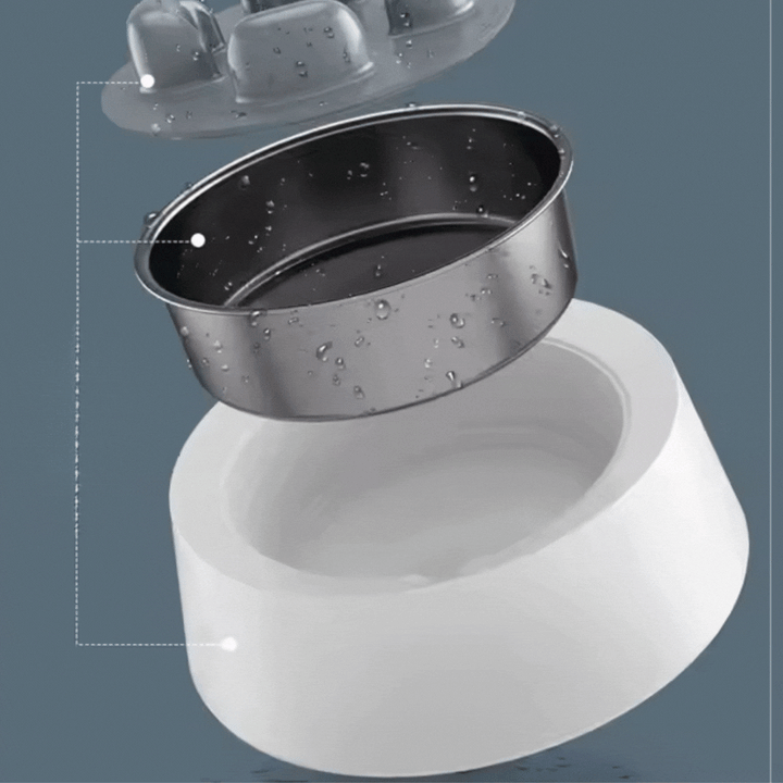Timed pet food dispenser for cats & dogs, ensuring regular, controlled meals.