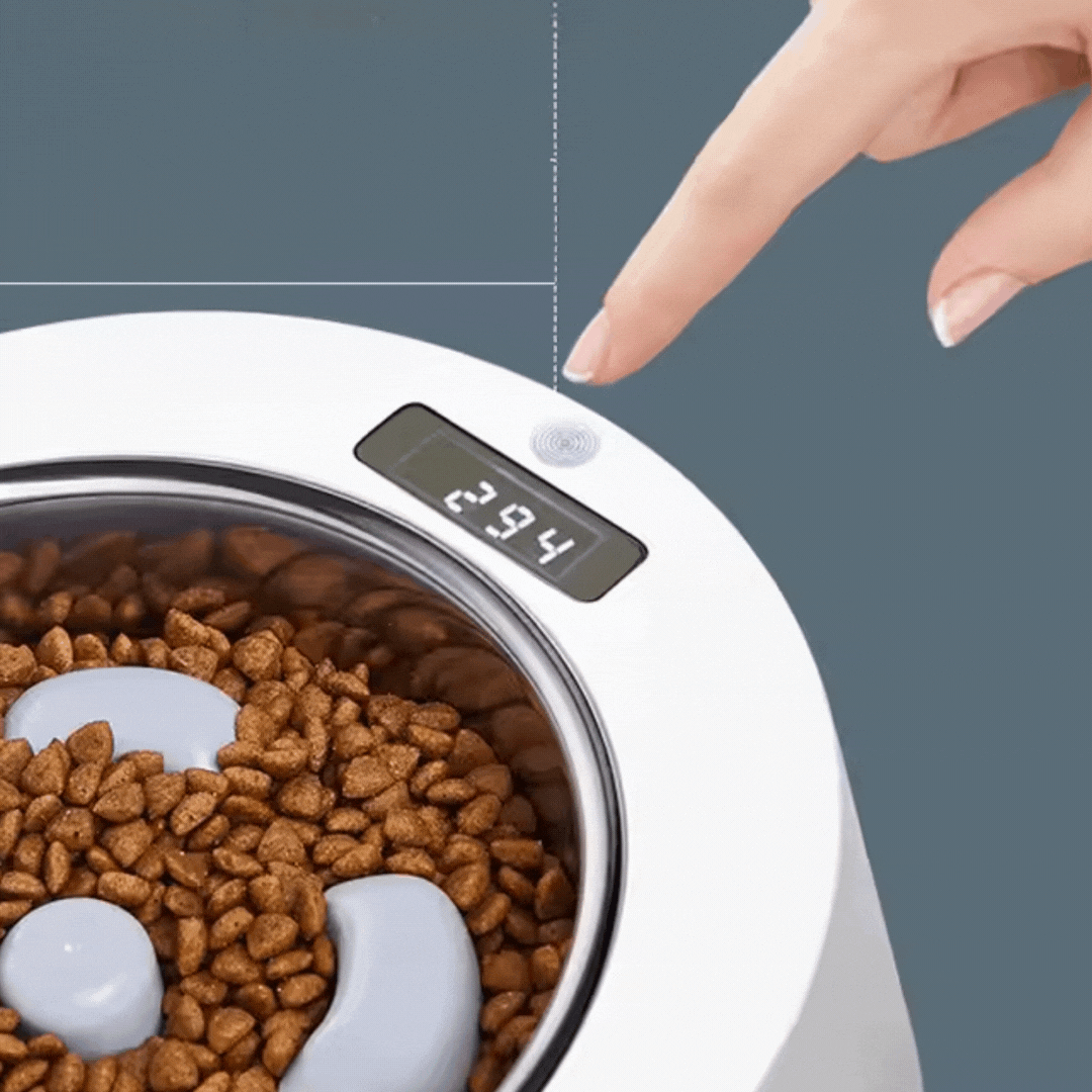 Smart dog and cat feeding bowl, automatic dispenser with easy-to-read screen.