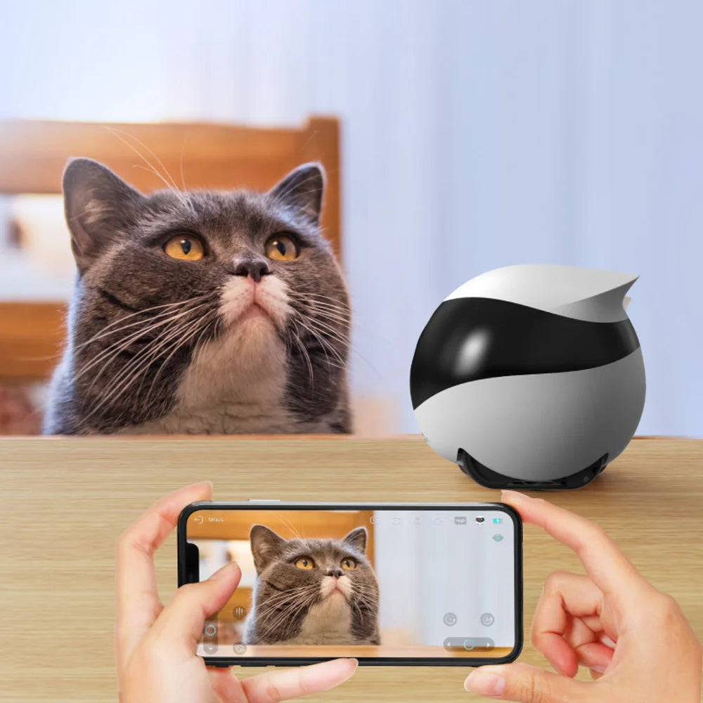 WIFI pet monitor with 360 rotation, night vision, and 2-way audio for remote pet care.