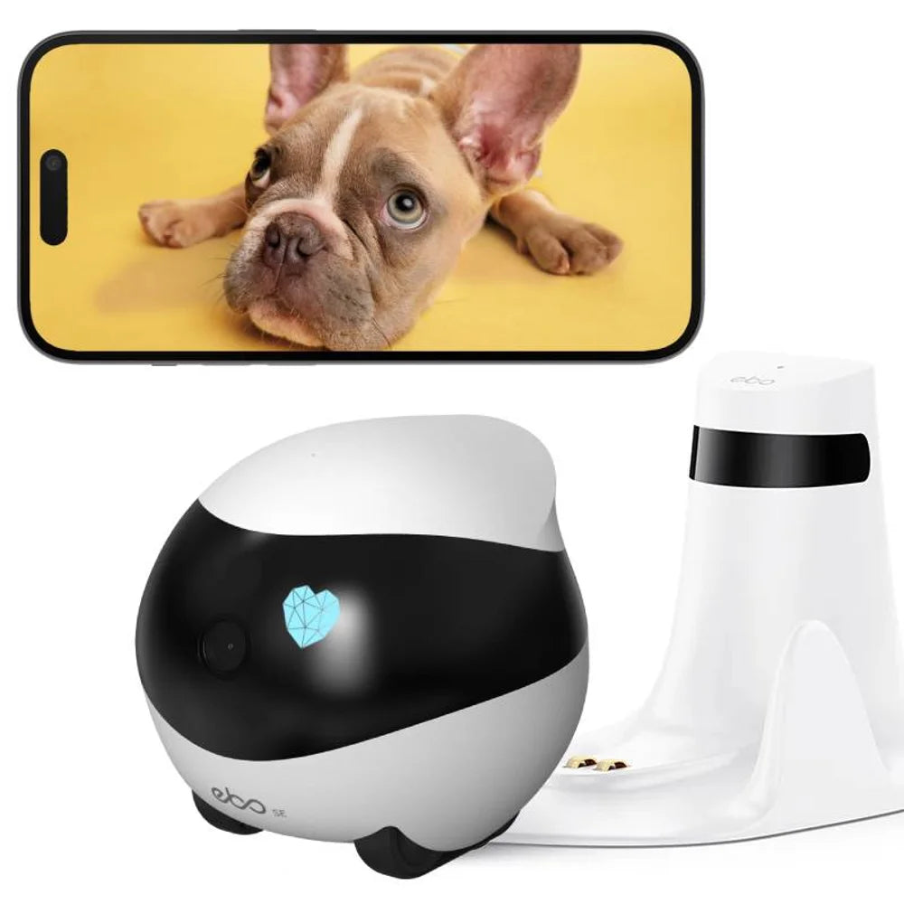 Compact smart dog camera with HD streaming, two-way audio, and infrared night vision.
