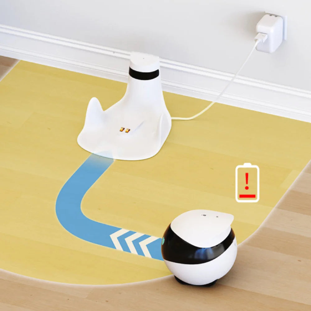 Versatile pet camera, featuring 2-way audio, night vision, and 360-degree coverage for pets.