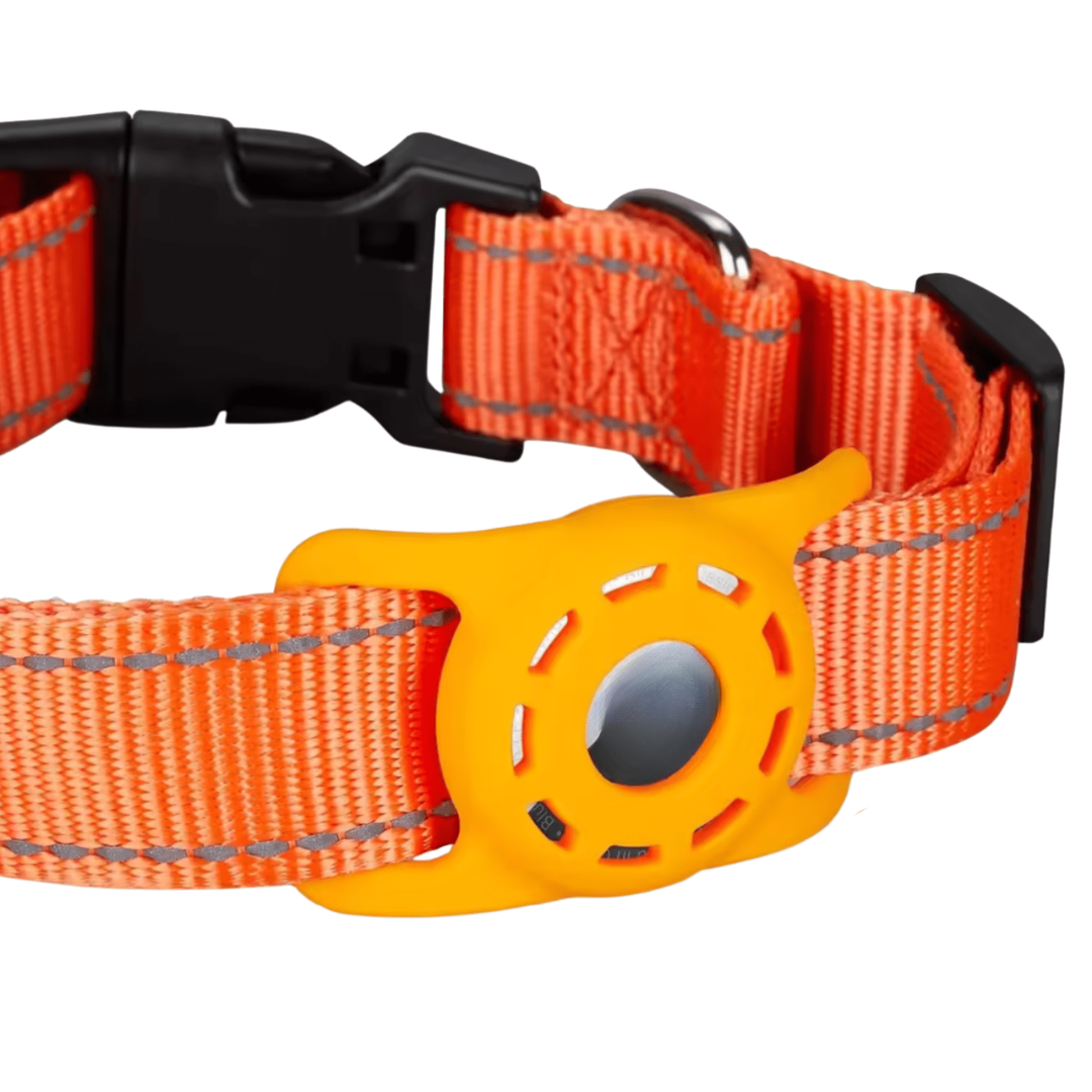 Reflective pet tracker collar designed for cats, offering GPS pet safety.