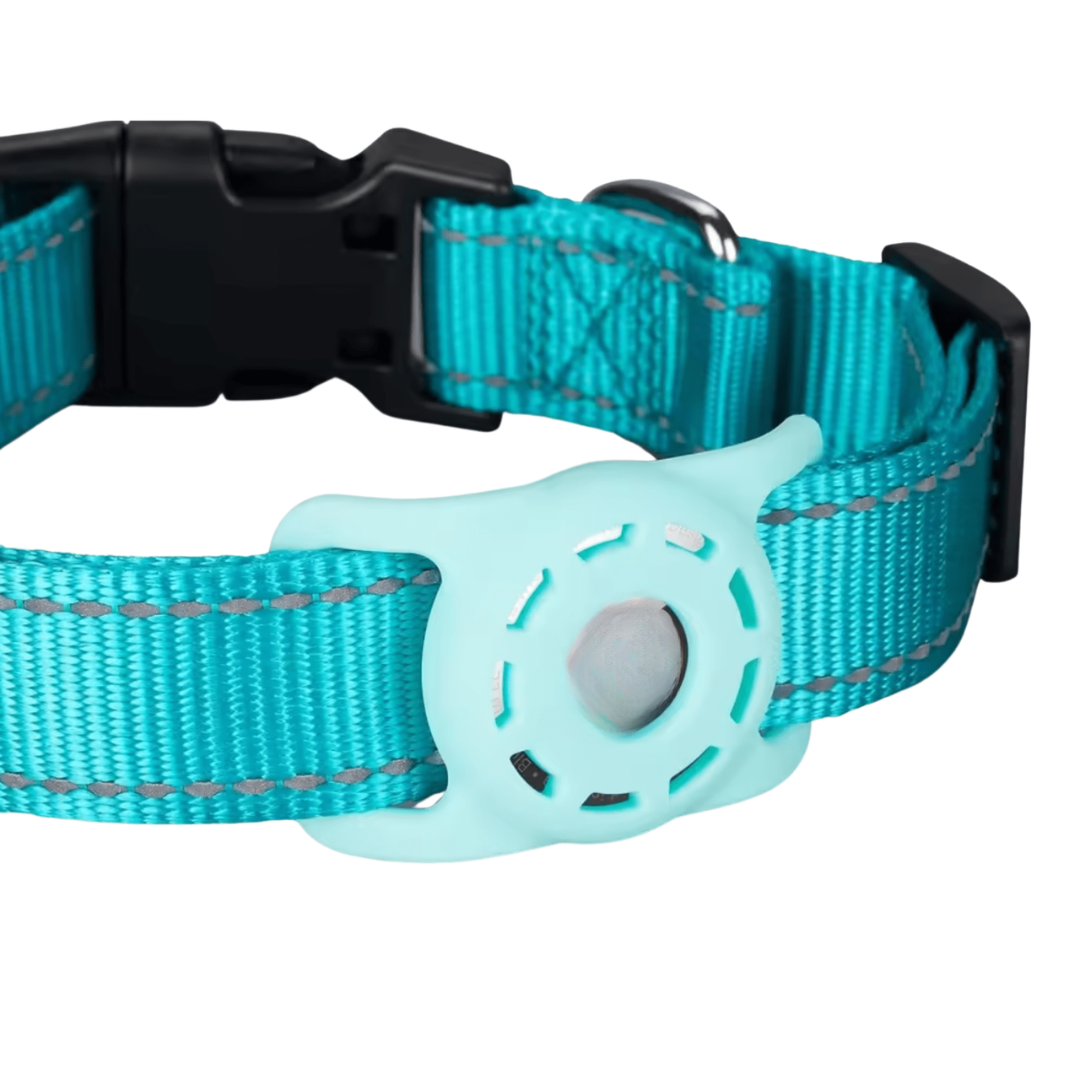 Close-up of a waterproof smart pet tracker on a reflective dog collar.