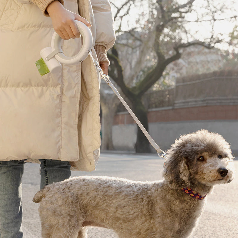 Durable pet leash, retractable, with smart features like pedometer and LED light, perfect for all dog walking.