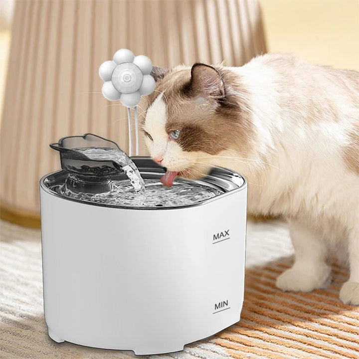 Automatic pet water fountain with smart sensor, silent pump, and filtered water for pets.
