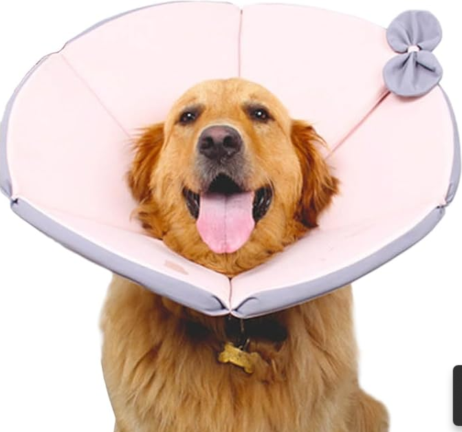 Dog wearing a soft, lightweight recovery cone collar, allowing pet to eat and drink easily