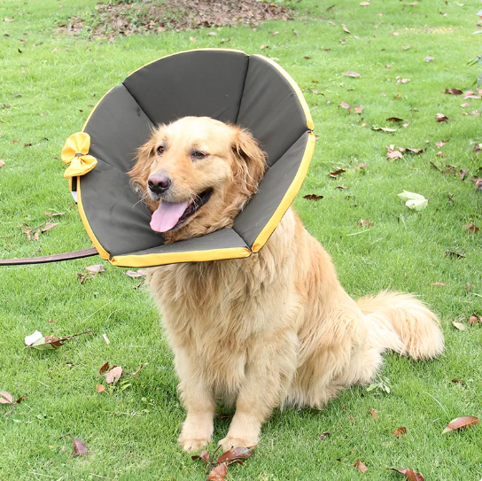 Adjustable pet recovery collar in a soft fabric, designed for post-surgery comfort and healing