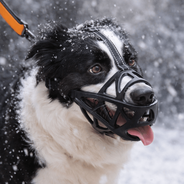 Soft, breathable dog muzzle for safe training, behavior control, & preventing bites.